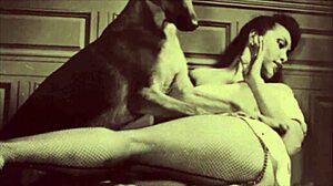 I Felt So Raw Bending Over for Vintage Taboo Pussy Play!