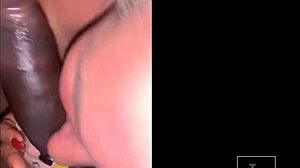 Livie Turns Wild with Rockhardo and Kitty in Threesome