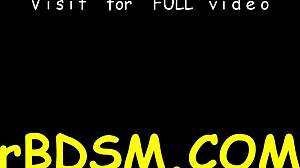 Sexy Slaves Competing In Rough BDSM Fucking Contest!